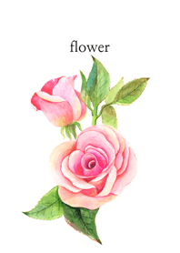 water color_flower_05