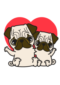 pug pug pug 2