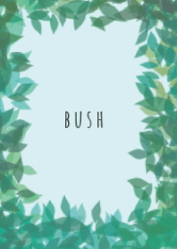 bush