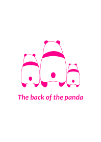 The back of panda -VIVID.P-