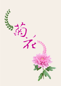 Chrysanthemum (期間限定販售)