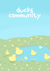 ducks community