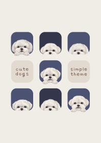 DOGS - Maltese Dog - NAVY