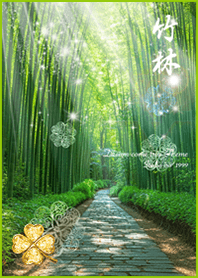 Bamboo forest Fresh green clover*