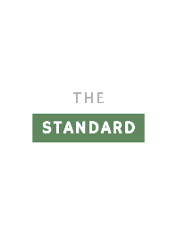 SIMPLE STANDARD THEME 22