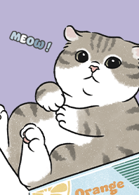 neko single14 / violet