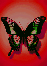 シンプルで美しい羽を広げた蝶（赤）