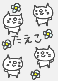 Taeko cute cat theme!
