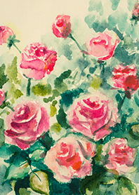 Beautiful rose flower(R4232)