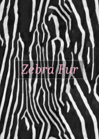 Zebra Fur 18