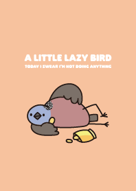 Lazy bird - Spotted Dove
