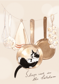 DavidCooksLove-廚房休憩貓