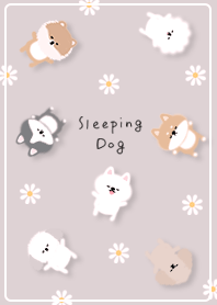 Greige Sleeping Dog 05_2