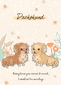 ダックスフンドが大好き 2