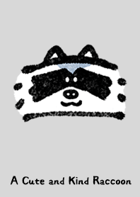 A Cute and Kind Raccoon Theme