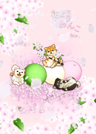 花よりわんこ2(柴犬、桜、団子、春)