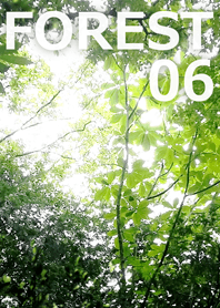 FOREST-森林06