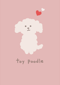 Cute toy poodle2.