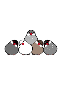 cute bird party