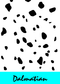 Dalmatian -Vividlightblue-