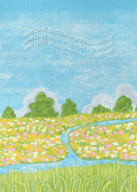 colorful flower garden : minimon