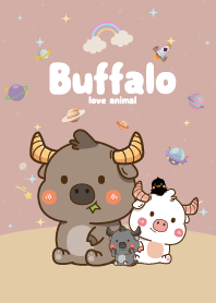 Buffalo Cutie Galaxy Brown