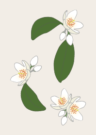 white flowerBE-2