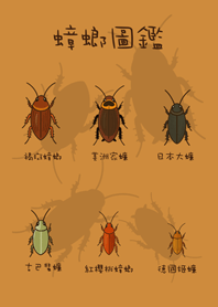 友達に送るゴキブリの写真(キャラメル色)