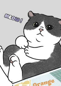 neko single20 / light grey