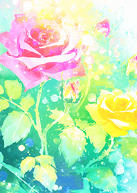 Beautiful rose flower(R1181)