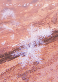 Snow Crystal Photo #16-24Not AI