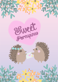 sweet porcupines
