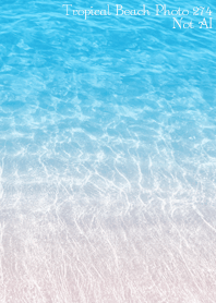 Tropical Beach Photo 274 Not AI