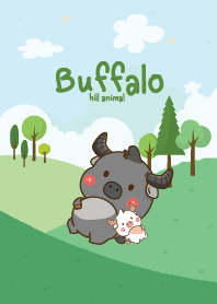 Buffalo The Hill Smile