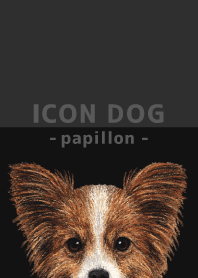ICON DOG - Papillon - BLACK/02
