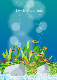 Little Aquarium #12