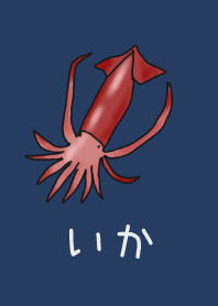 シンプルイカ-ワンポイント