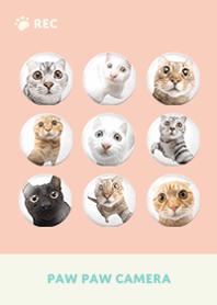 Paw Paw Camera -  Green 10