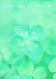 4-Leaf Clover Photo #5-14Not AI