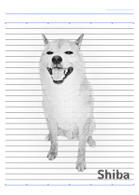 柴犬の日常15【らくがき風】