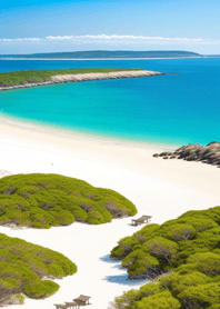 Summer beach, white clouds 516f09