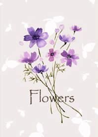 Cosmos flowers swaying in the breeze1