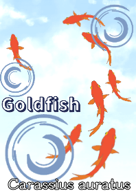 Goldfish Goldfish Goldfish 2 #cool