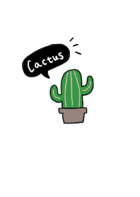 Cacti. Adults are cute.