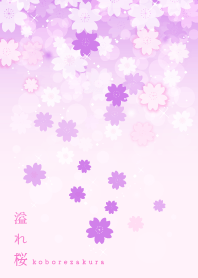 Scattering cherry tree purple pink J