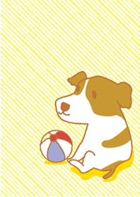 ジャックラッセル★マリン！