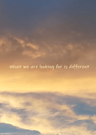 What we are looking for is different