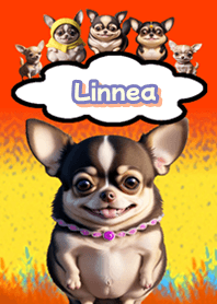 Linnea Chihuahua Red05