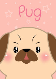 Simple Cute Face Pug Dog