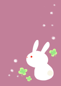 Rabbit and clover 3